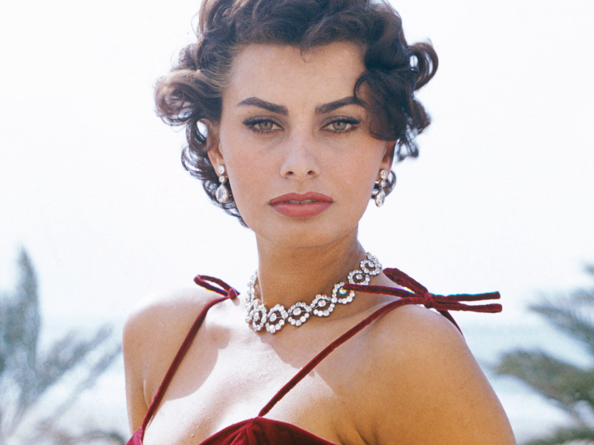 Tutte le pubblicità con Sophia Loren: da “accattatavillo” agli spot Barilla fino a Dolce&Gabbana